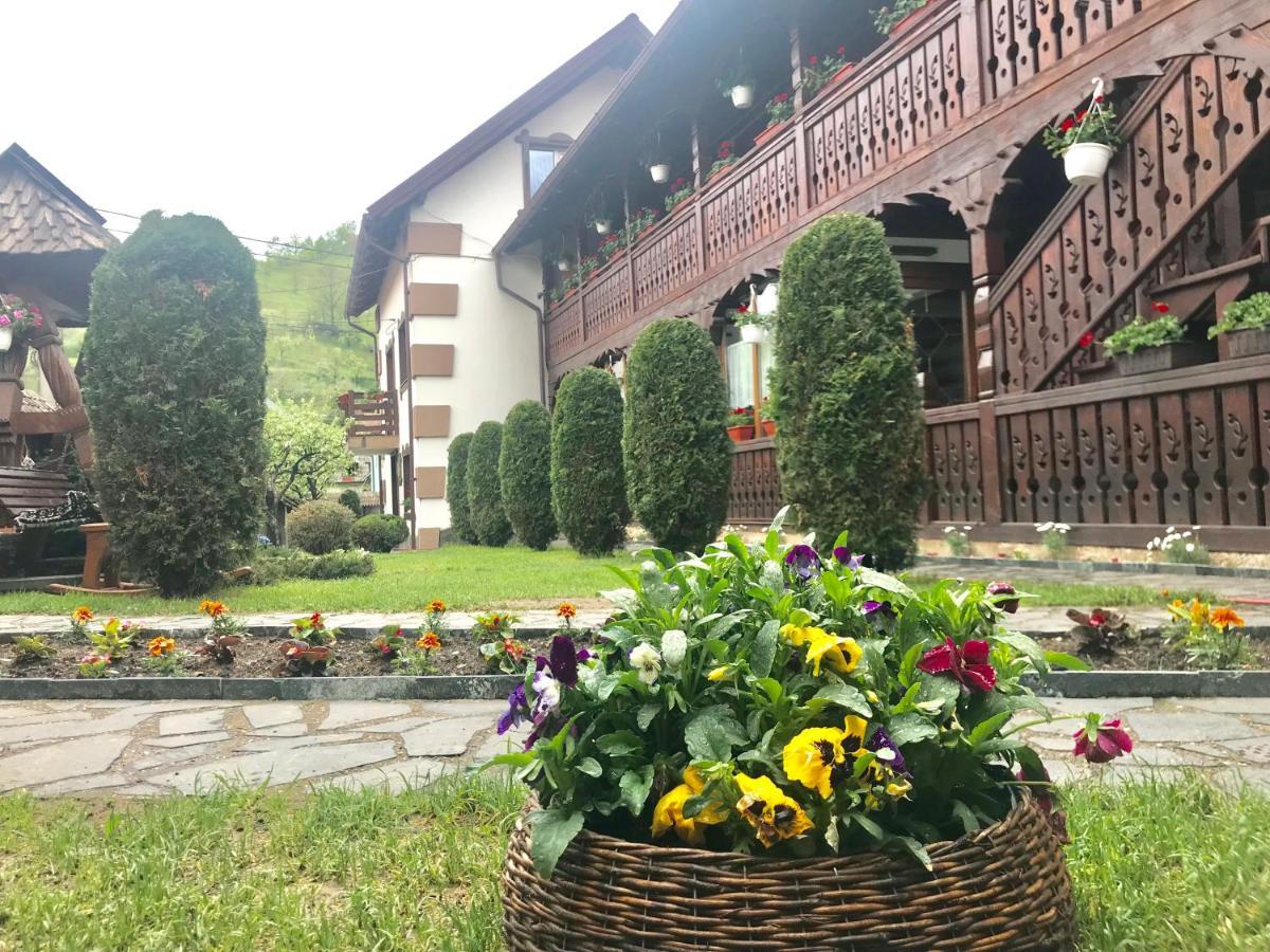 Pensiunea Cretuca Botiza Exterior foto
